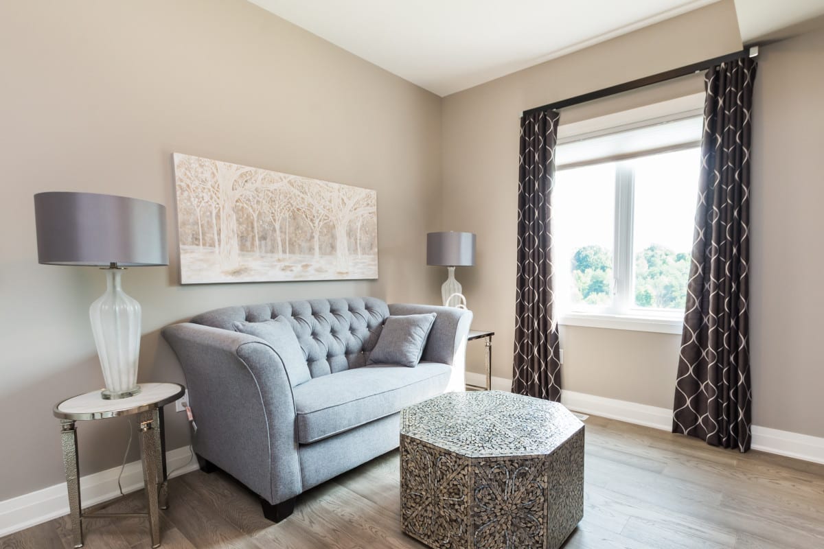 Den area with a cozy, sun lit couch.