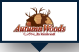 autum woods